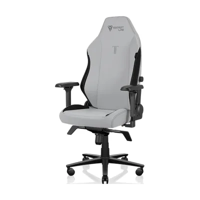 Secretlab TITAN EVO Ash Oyuncu Koltuğu