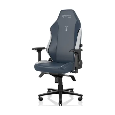 Secretlab TITAN EVO Royal Oyuncu Koltuğu